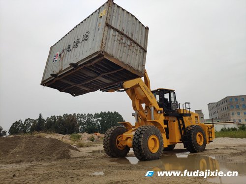 40吨集装箱翻转乐动官方注册-乐动(中国)机FDM798T-40G